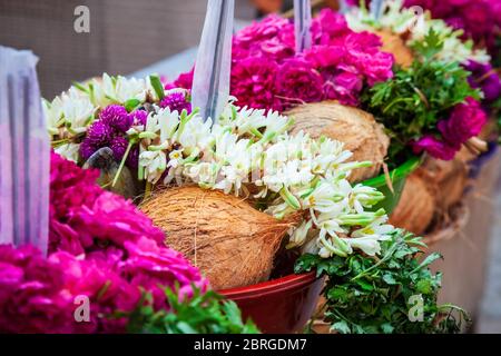 Offerte di cocco e fiori per holi puja in India Foto Stock