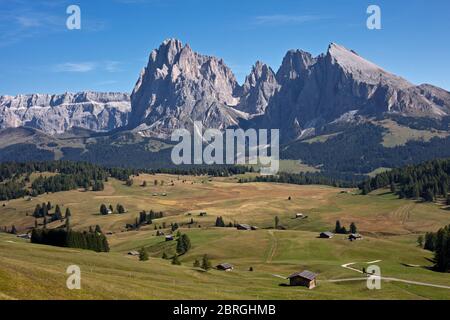 Alpe di Siusi Foto Stock