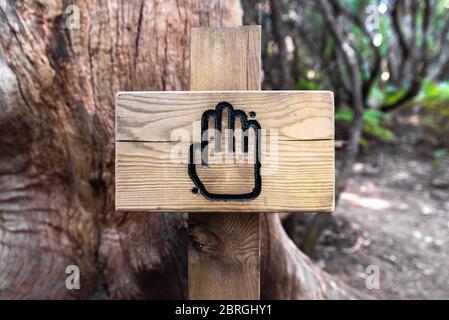 Toccare e sentire segno di legno nella foresta di Tenerife, Isole Canarie Foto Stock