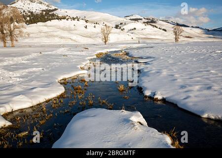 WY04560-00...WYOMING - piccolo torrente che attraversa la Valle di Lamar, coperta di neve, nel Parco Nazionale di Yellowstone. Foto Stock