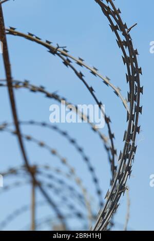 Spirale con filo spinato contro il cielo blu, immagine verticale. Foto Stock