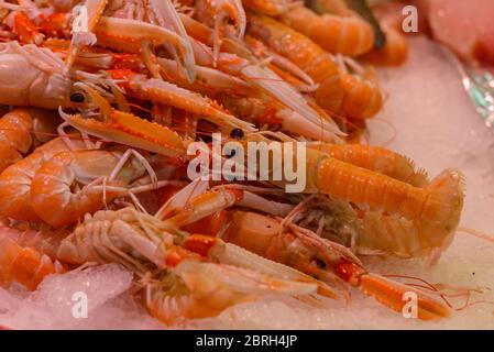 Le langostine (aragoste norvegesi) e i gamberi sono ordinatamente sistemati in una bancarella di mercato a Saint-Palais-sur-Mer, Charente-Maritime, sulla costa atlantica francese. Foto Stock