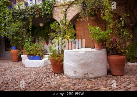Particolare di un tipico patio andaluso con pavimento in pietra, pozzo d'acqua e decorato con diversi tipi di piante e pentole. Córdoba, Andalusia, Spagna. TR Foto Stock