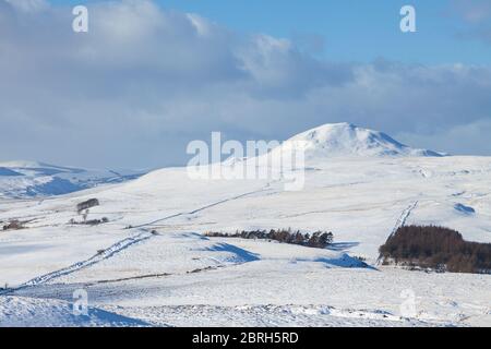 Guardando verso West Lomond Hill da East Lomond in una bella giornata invernale, Fife, Scozia. Foto Stock