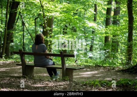 Una donna seduta su una panchina accanto a un sentiero forestale Foto Stock
