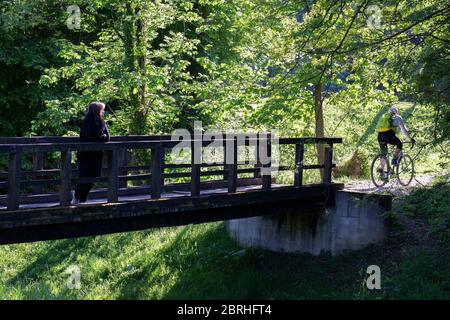 Un ponte di legno in una foresta con una donna appoggiata sulla sua recinzione e un ciclista che passa Foto Stock