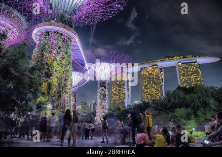 Suggestiva illuminazione dei Supertrees nei Gardens by the Bay con vista sul Marina Sands Hotel di Singapore. Foto Stock