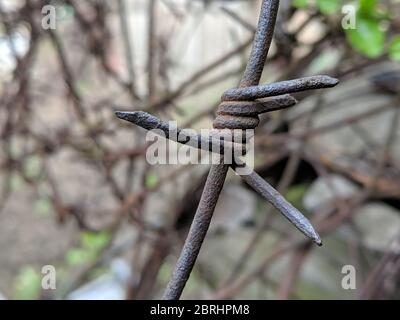 Filo spinato arrugginito, fotografia ravvicinata, filo spinato vecchio e arrugginito in natura, vintage. Foto Stock