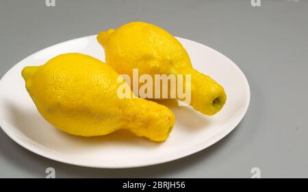 Limoni brutto su una piastra bianca su sfondo grigio. Primo piano. Orientamento orizzontale. Il concetto di brutto verdura e frutta. Foto Stock