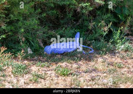 Sacchetto di poo di cane scartato in campagna Foto Stock