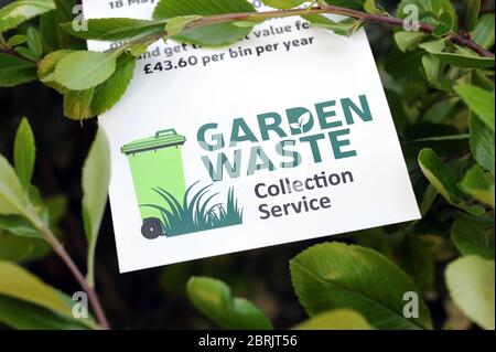CONSIGLIO LOCALE FOGLIO DI RIFIUTI DI GIARDINO CHE RIGUARDA I COSTI DOMESTICI DI RACCOLTA RIFIUTI DI GIARDINO RE TASSA DEL CONSIGLIO GIARDINAGGIO GIARDINIERI COSTO PAGAMENTO ECC UK Foto Stock