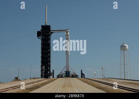 Un razzo SpaceX Falcon 9 con la navicella spaziale Crew Dragon dell'azienda a bordo è visto come è sollevato in una posizione verticale sul pad di lancio al complesso di lancio 39A mentre i preparativi per la missione Demo-2, il 21 maggio 2020, al Kennedy Space Center della NASA in Florida. La missione SpaceX Demo-2 della NASA è il primo lancio con astronauti della navicella spaziale SpaceX Crew Dragon e Falcon 9 alla Stazione spaziale Internazionale come parte del programma Commercial Crew dell'agenzia. Il test di volo servirà come dimostrazione end-to-end del sistema di trasporto dell'equipaggio SpaceX. Behnken e Hurley lo sono Foto Stock