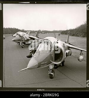 I British Harrier Jump Jump Jump si allineano sulla asfalto, circa 1970. Immagine da 6x6 cm negativo. Foto Stock