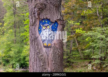 gufo dipinto nella cavità di un albero Foto Stock