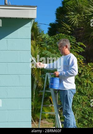 Pittore professionista di media età o uomo proprietario di abitazione su una scala con una lattina di vernice e pennello che spazzola l'esterno di un blocco residenziale hous Foto Stock