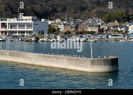 Gabbiani in fila si trovano sul mare di Tadanoumi Port, la città di Takehara. Prefettura di Hiroshima, Giappone Foto Stock