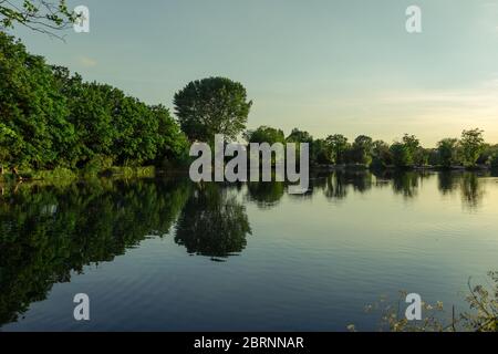 Lago Brooklands - Paesaggio con riflessione Foto Stock