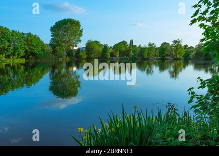 Lago Brooklands - Paesaggio con riflessione Foto Stock