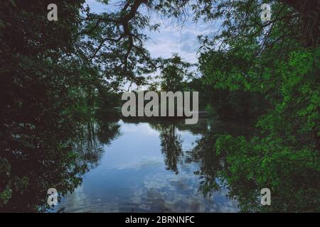 Lago Brooklands - Paesaggio con riflessione Foto Stock