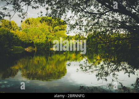 Lago Brooklands - Paesaggio con riflessione Foto Stock