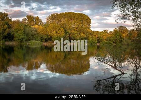 Lago Brooklands - Paesaggio con riflessione Foto Stock