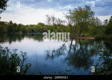 Lago Brooklands - Paesaggio con riflessione Foto Stock