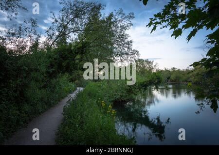 Lago Brooklands - Paesaggio con riflessione Foto Stock