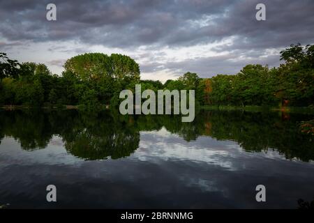 Lago Brooklands - Paesaggio con riflessione Foto Stock