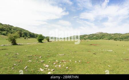 Monte Gennaro - la vetta dei Monti Lucretili, Lazio, Italia centrale; è la vetta più alta visibile da Roma Foto Stock