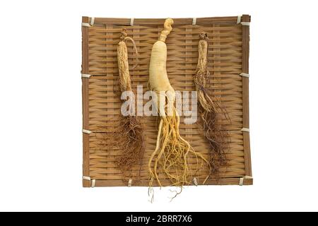 Ginseng fresco e asciutto su tessitura di bambù con isolato su sfondo bianco. Foto Stock