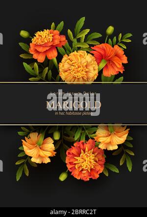 Modello Poster floreale Illustrazione Vettoriale