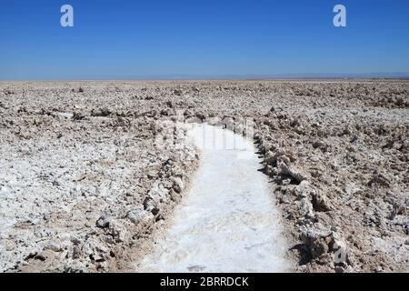 Percorso tra le incredibili Salar de Atacama, Salina cilena in Antofagasta Regione, Cile settentrionale Foto Stock