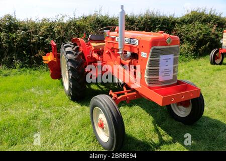 Trattore Allis Chalmers Vintage, spettacolo d'epoca Camrose Foto Stock