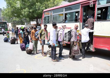 Prayagraj, Uttar Pradesh, India. 22 maggio 2020. Prayagraj: Lavoratori in difficoltà arrivarono con speciali autobus di bordo per arrivare ai loro villaggi nativi durante il blocco COVID-19 in corso, a Prayagraj, venerdì 22 maggio 2020. Credit: Prabhat Kumar Verma/ZUMA Wire/Alamy Live News Foto Stock