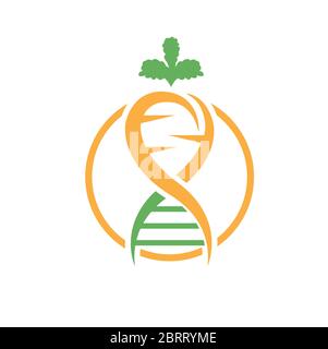 Modello di disegno del logo di vegetali DNA Illustrazione Vettoriale