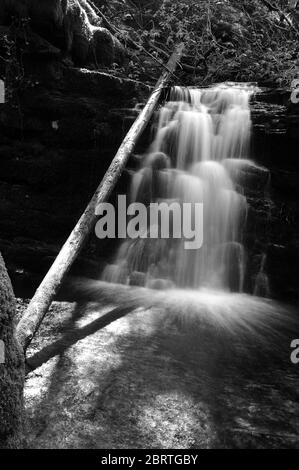 La parte centrale di tre piccole cascate sul Nant Bwrefwr tra la cascata e la caduta principale. Foto Stock