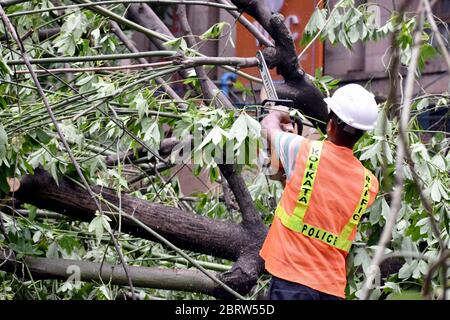 Kolkata, India. 21 Maggio 2020. India: Dopo il devastante super ciclone Amphan, nel Bengala occidentale sono morte almeno 80 persone, come da governo dello stato. Minimo 5000 alberi sradicati a Kolkata, 2500 alberi in lago salato. Mobile, Internet connettività e acqua e alimentazione ostacolato dopo il ciclo cena. NDRF/polizia/Disaster Management Team che lavora insieme per ripristinare la città. PM modi visiterà e incontrerà il capo ministro oggi. (Foto di Sudipta Pan/Pacific Press) Credit: Pacific Press Agency/Alamy Live News Foto Stock