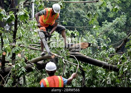 Kolkata, India. 21 Maggio 2020. India: Dopo il devastante super ciclone Amphan, nel Bengala occidentale sono morte almeno 80 persone, come da governo dello stato. Minimo 5000 alberi sradicati a Kolkata, 2500 alberi in lago salato. Mobile, Internet connettività e acqua e alimentazione ostacolato dopo il ciclo cena. NDRF/polizia/Disaster Management Team che lavora insieme per ripristinare la città. PM modi visiterà e incontrerà il capo ministro oggi. (Foto di Sudipta Pan/Pacific Press) Credit: Pacific Press Agency/Alamy Live News Foto Stock