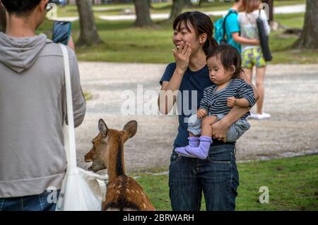 Madre giapponese e bambino guardando il cervo a Nara Giappone 2015 Foto Stock