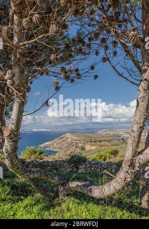 La vista in lontananza Fomm ir-Rih scogliere come visto incorniciato dalle alture di Tal-Kuncizzjoni in Malta. Foto Stock