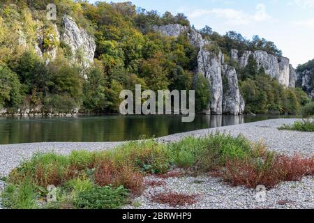 Valle del Danubio al fiume Danubio svolta vicino a Kelheim, Baviera, Germania in autunno con banca di ghiaia e piante con foglie rosse in primo piano e calce Foto Stock