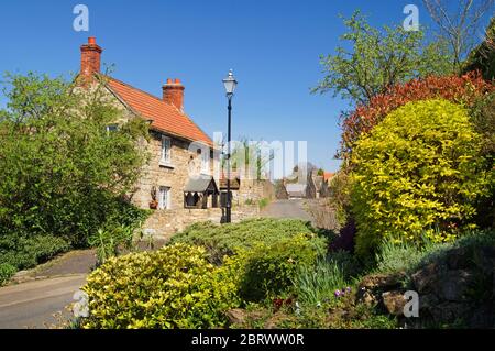 Regno Unito, South Yorkshire, Doncaster, Hooton Pagnell, Clayton Lane Cottage Foto Stock