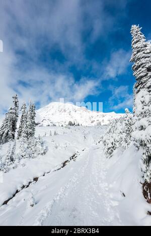 Un percorso coperto con neve in zona paradiso, vista panoramica del Parco Nazionale mt Rainier, Washington, USA. Foto Stock