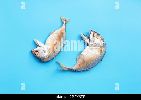 Pesce sgombro corto su sfondo blu. Vista dall'alto Foto Stock