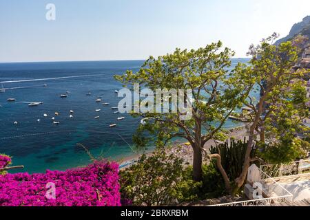 Positano incorniciato da rosa bouganville e barche in background. Colorato Positano, la perla della Costiera Amalfitana, con le sue case multicolori e Foto Stock