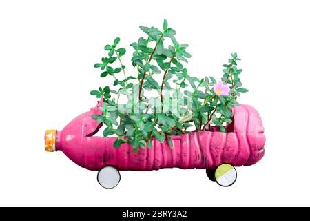 Fiori in automobile per bambini realizzati in bottiglie di plastica isolate su sfondo bianco. Con percorso di ritaglio. Foto Stock