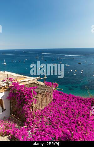 Positano incorniciato da rosa bouganville e barche in background. Colorato Positano, la perla della Costiera Amalfitana, con le sue case multicolori e Foto Stock