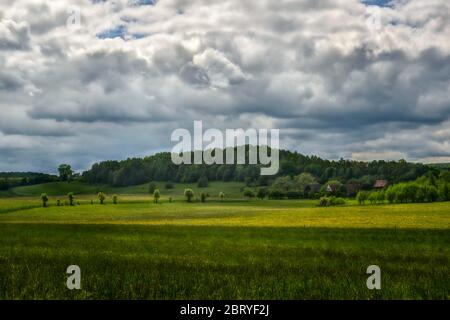 Parco Nazionale del fiume Bobr, Polonia Foto Stock