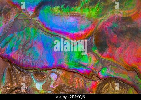 Colori naturali astratti della shell nacre, texture di sfondo Foto Stock