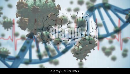 Cervello umano 3D con ceppo di DNA blu su cellule di cocoravirus macro 19 Foto Stock